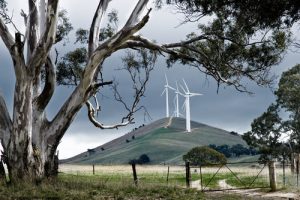 rsz_australian-wind-farm